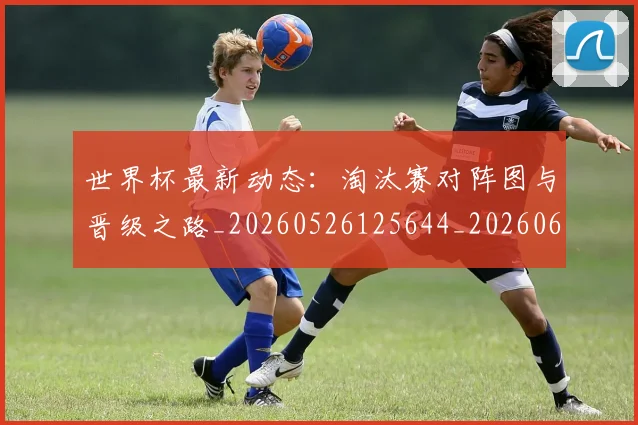 世界杯最新动态：淘汰赛对阵图与晋级之路_20260526125644_20260607160529